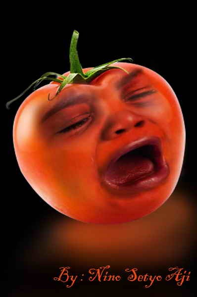 [b-tomato4.jpg]