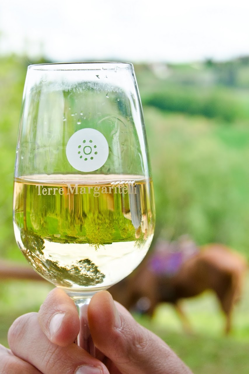 Terre Margaritelli wine
