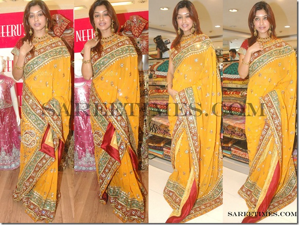 Harika_Payal_Designer_Sarees (1)