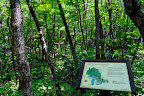 Hiking Trail, Agawa Canyon, Ontario