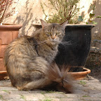 wilma1.jpg