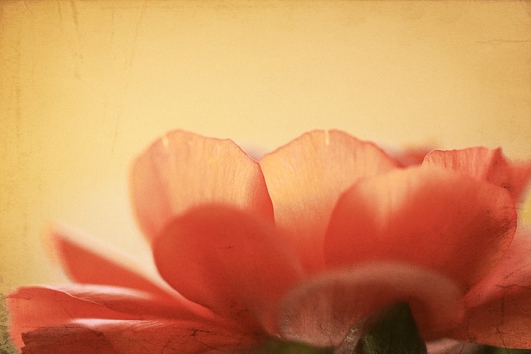 [IMG_2092T%255B12%255D.jpg]