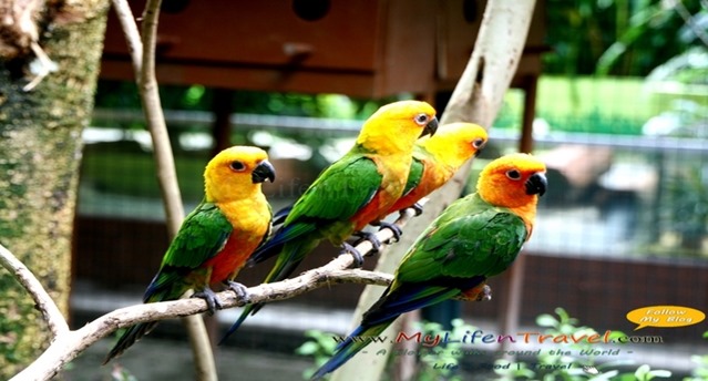 Langkawi Wildlife Park Langkawi Wildlife Park