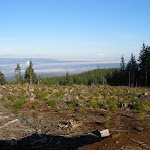 PC030148.JPG