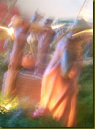DSCN3895 DSCN3895