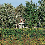 Vignoble du Château Taillefer Lafon