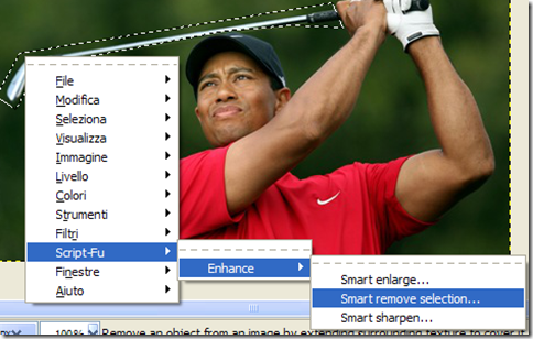 Eliminare oggetto dalla foto con GIMP