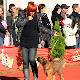 Abi - IMG_6643.JPG