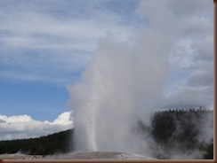 Yellowstone to Teton 022