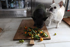 Sharkey, Martha specifically said you should do it!  I'll add some citrus and some greenery sprigs for garnish, just like the photo in Martha's new Entertaining book!