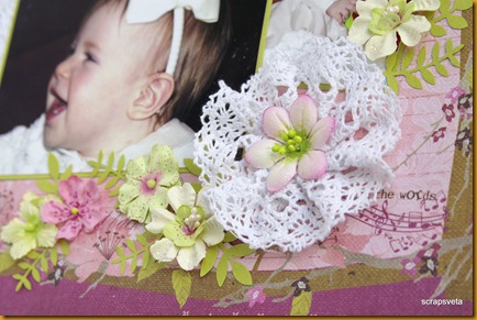 PICT3530 PICT3530