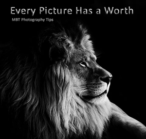 how to sell photographs? how to sell photographs?