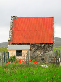 just before reaching town, we saw this orange rusted barn roof matched by the orange-red poppies below.  ah!