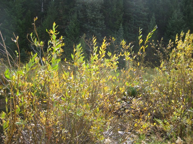 [IMG_7821%255B3%255D.jpg]