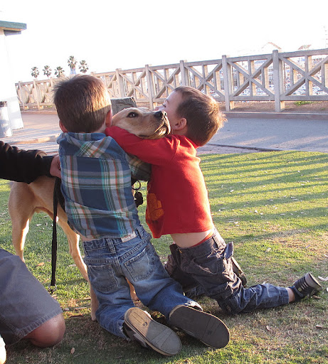 Canine raters, involved in silliness assessment find human children to be far more capable of engaging in critical silliness tasks than their adult counterparts.
Above: Stanley tests human subjects in early pilot study on HSDD. Canine raters, involved in silliness assessment find human children to be far more capable of engaging in critical silliness tasks than their adult counterparts.
Above: Stanley tests human subjects in early pilot study on HSDD.