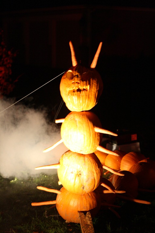 [IMG_26254.jpg]