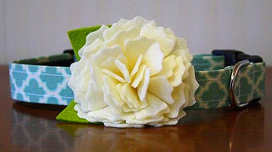 [Ivory%2520collar%255B8%255D.jpg]