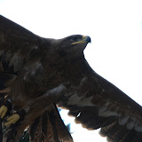 Cub Pack Holiday - Skreens Park 2012 - DSC_0191.jpg