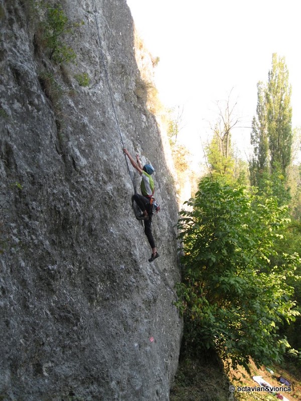 basarbovo-21.jpg