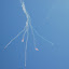 faim_2010_35.jpg