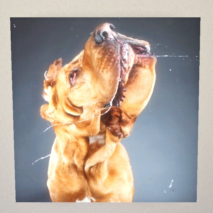 [Screenshot-5%255B3%255D.jpg]