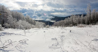 IMG_7464.jpg Photo