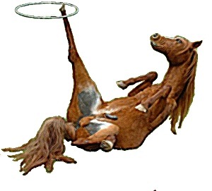 [One_trick_pony%255B4%255D.jpg]