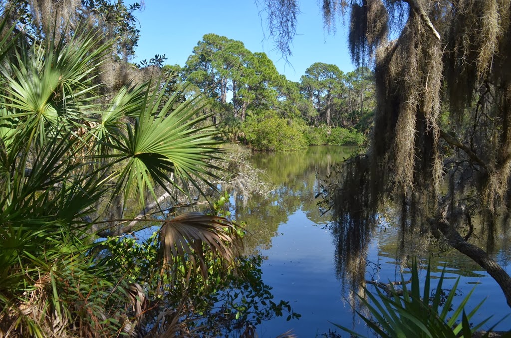 [Driving-south_0283.jpg]