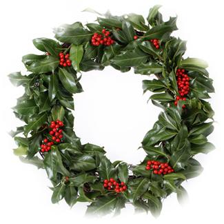 [christmas-wreath.png]