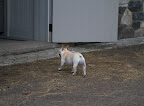 Follow me into the stables!