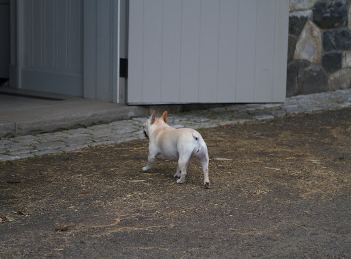 Follow me into the stables!