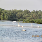 IMG_7893.JPG