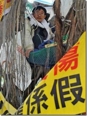 tree-top-protest