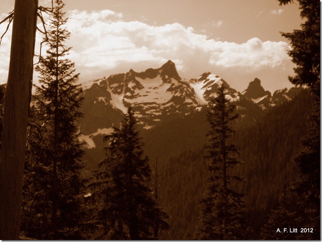 Mt Rainier National Park, Washington.  July 24, 2011.