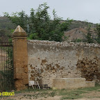 ex pistacchieto Monte Sara - foto di Domenico Oliveri