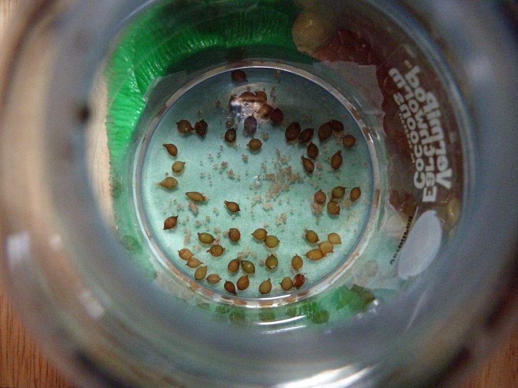 [Earthworms%255B5%255D.jpg]