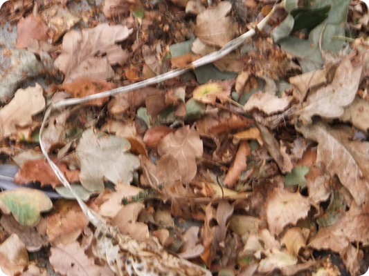 October 2011 020
