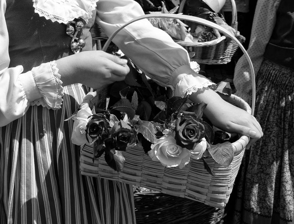 [DSC_3227bw%255B5%255D.jpg]