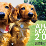 2012_ahappynewyear