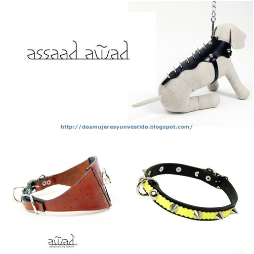 assaad-awad-ohmycan assaad-awad-ohmycan