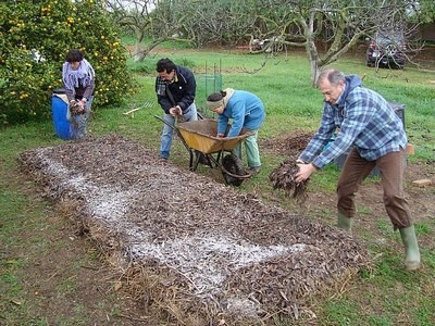 [compost-en-mont%25C3%25B3n-abono-tierra-jard%25C3%25ADn-jardiner%25C3%25ADa%255B10%255D.jpg]