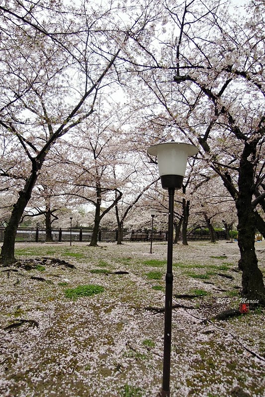 大阪城西之丸庭(おおさかじょう にしのまる)