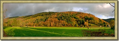 Copie de automne panorama1