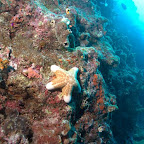 Riffwand am Pinnacle bei Hoga