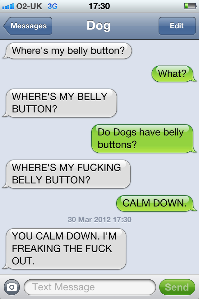 Texts from my dog