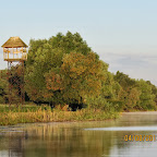 IMG_5806.JPG