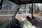 Come on Franny!  Let's go help the gang build the new greenhouse!  It looks like they've already put up the framing, but there's still so much to do!
