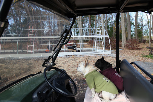 Come on Franny!  Let's go help the gang build the new greenhouse!  It looks like they've already put up the framing, but there's still so much to do!
