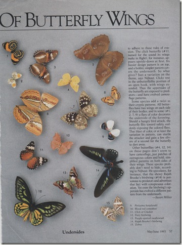 Scan-2.BMP Scan-2.BMP