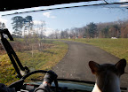 Out of the woods and driving towards the chicken coops